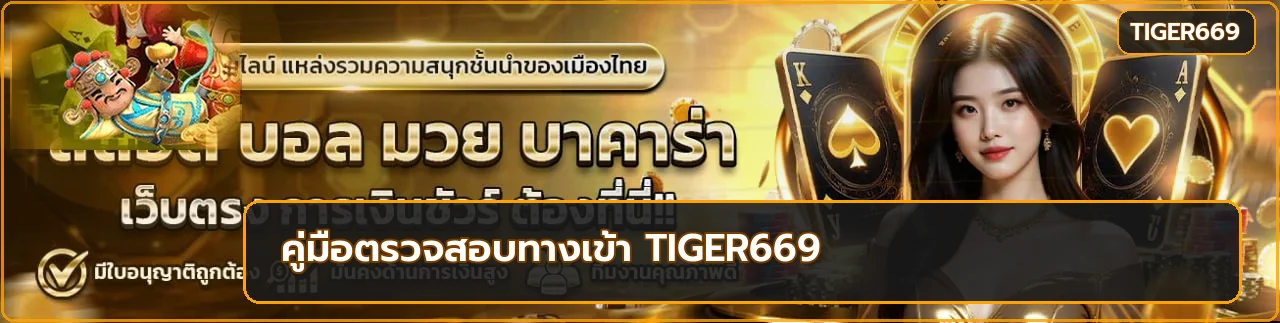 tiger669 เว็บตรง ตรวจสอบอย่างไรก่อนสมัคร